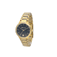 SECTOR 665 WATCH - R3253524506 360